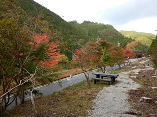 観音峰登山口紅葉の写真５